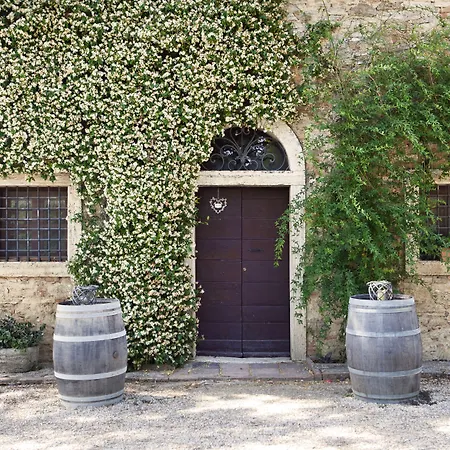 Diffuso Tenuta Armaiolo - Widespread Farma *