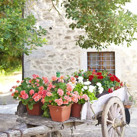 Diffuso Tenuta Armaiolo - Widespread Agroturismo Rapolano Terme